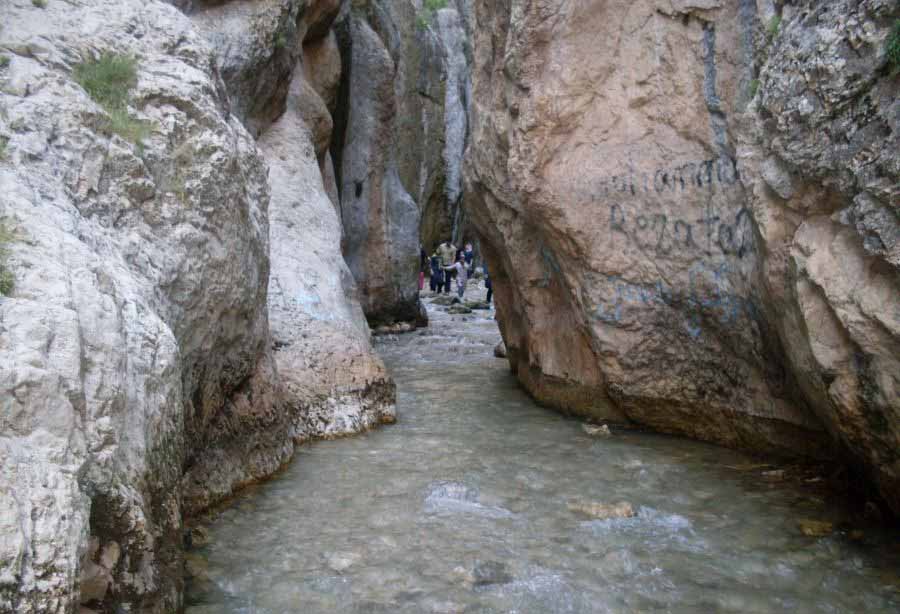 تصویر برای گروهتور تنگه واشی